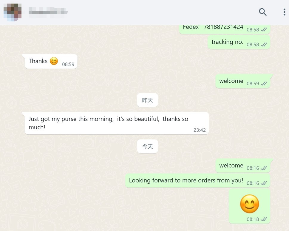 Ellebag’s Unparalleled Commitment to Excellence in Replicas, Customer Service, and Privacy (2023 Nov)-Best Quality Fake Louis Vuitton Bag Online Store, Replica designer bag ru