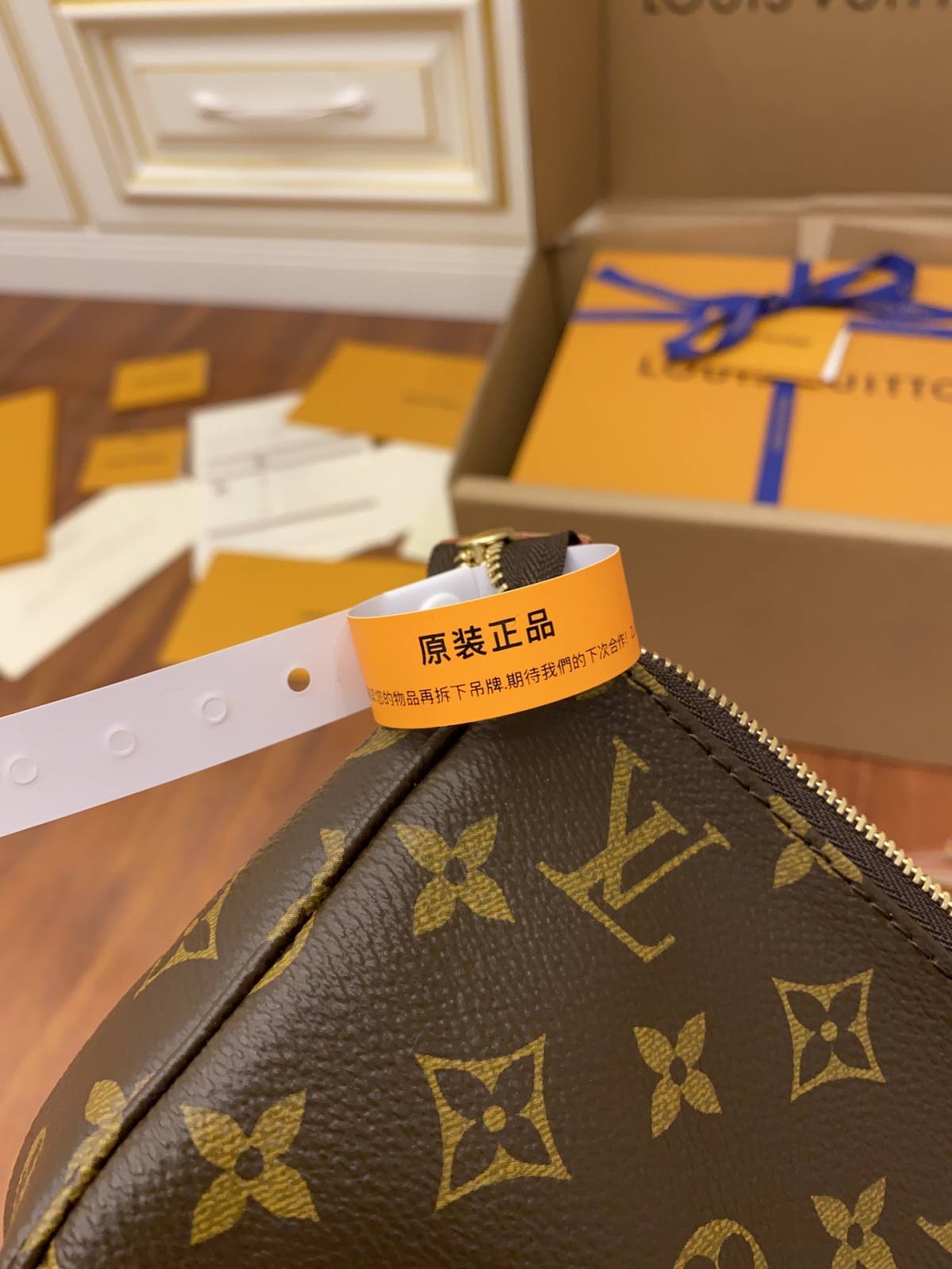 Ellebag’s Expert Replication: Louis Vuitton Pochette Accessoires in Monogram (M40712)-בעסטער קוואַליטעט שווינדל לוי ווויטטאָן באַג אָנליין קראָם, רעפּליקע דיזיינער זעקל רו