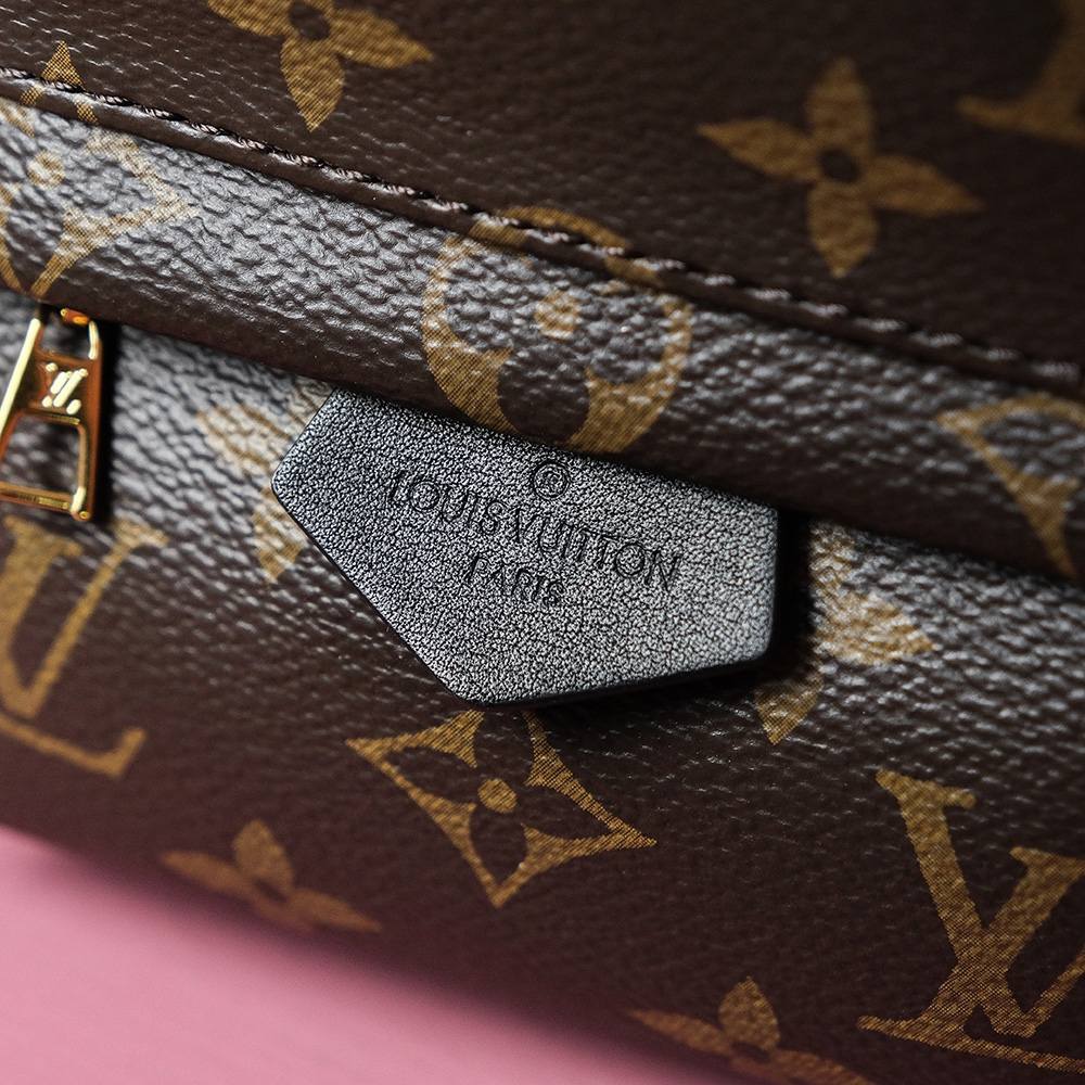 Ellebag Factory’s Exquisite Replication of Louis Vuitton PALM SPRINGS Mini Backpack (M44873)-Beste Kwaliteit Vals Louis Vuitton Sak Aanlyn Winkel, Replika ontwerper sak ru