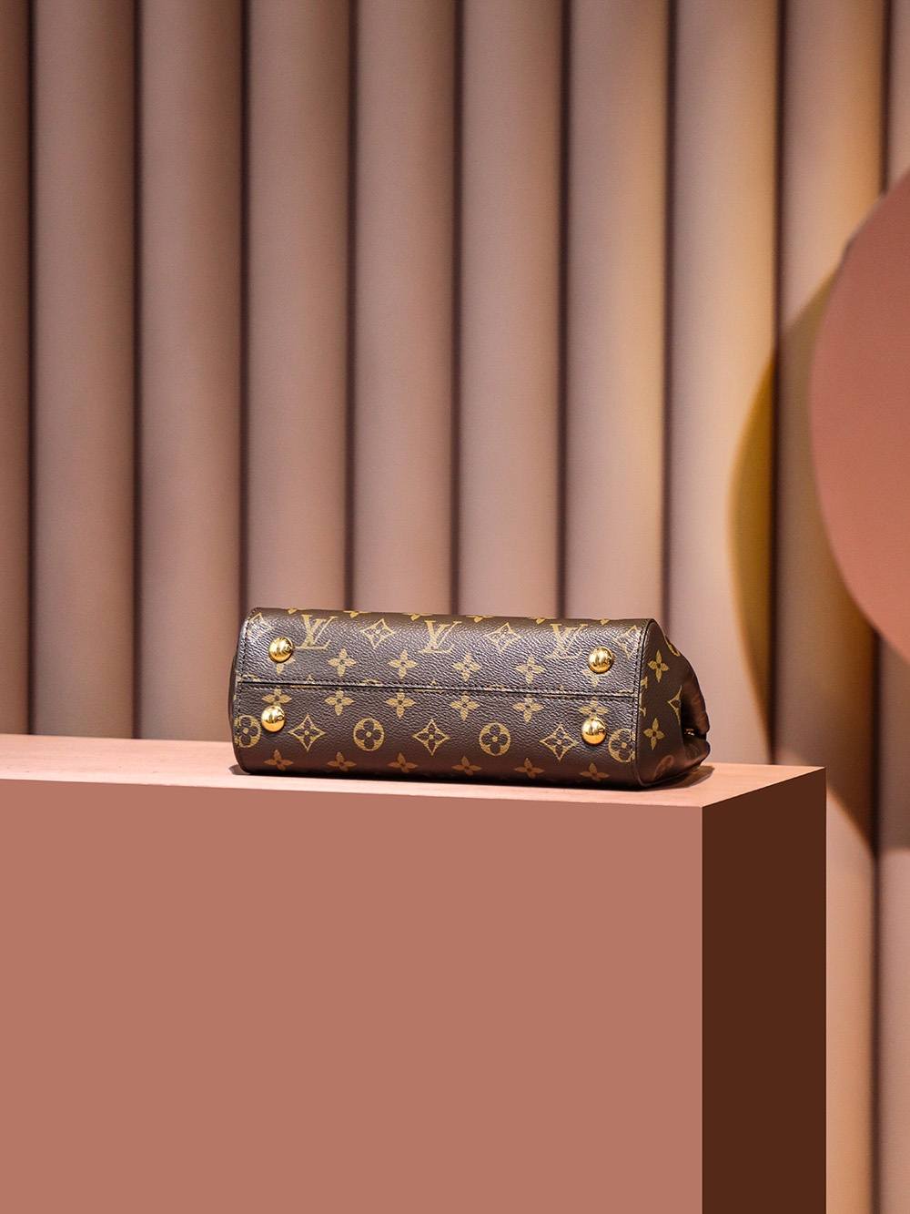 Ellebag Factory Replication Technique – Louis Vuitton CLUNY Handbag (M46372)-Umgangatho ogqwesileyo woMgangatho weFake weLouis Vuitton kwiVenkile ye-Intanethi, ibhegi yomyili weReplica ru