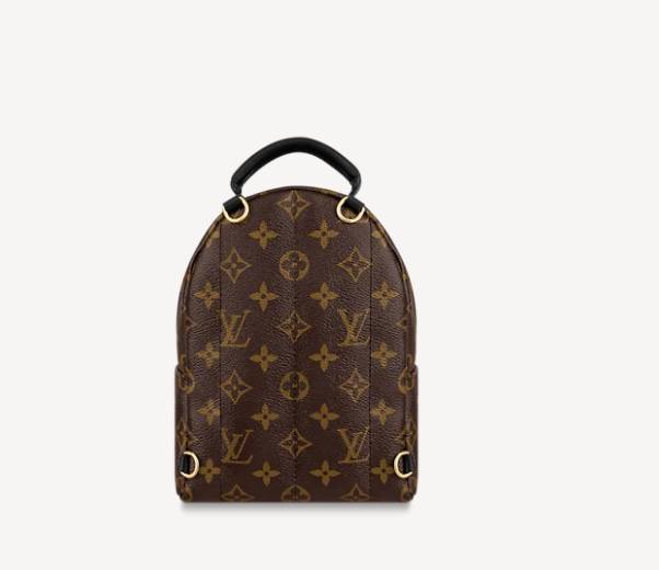 Ellebag’s 1:1 Replica of Louis Vuitton M44873 Small Backpack: Crafting Luxury with Precision (2024 Nov Updated)-Best Quality Fake Louis Vuitton Bag Online Store, Replica designer bag ru