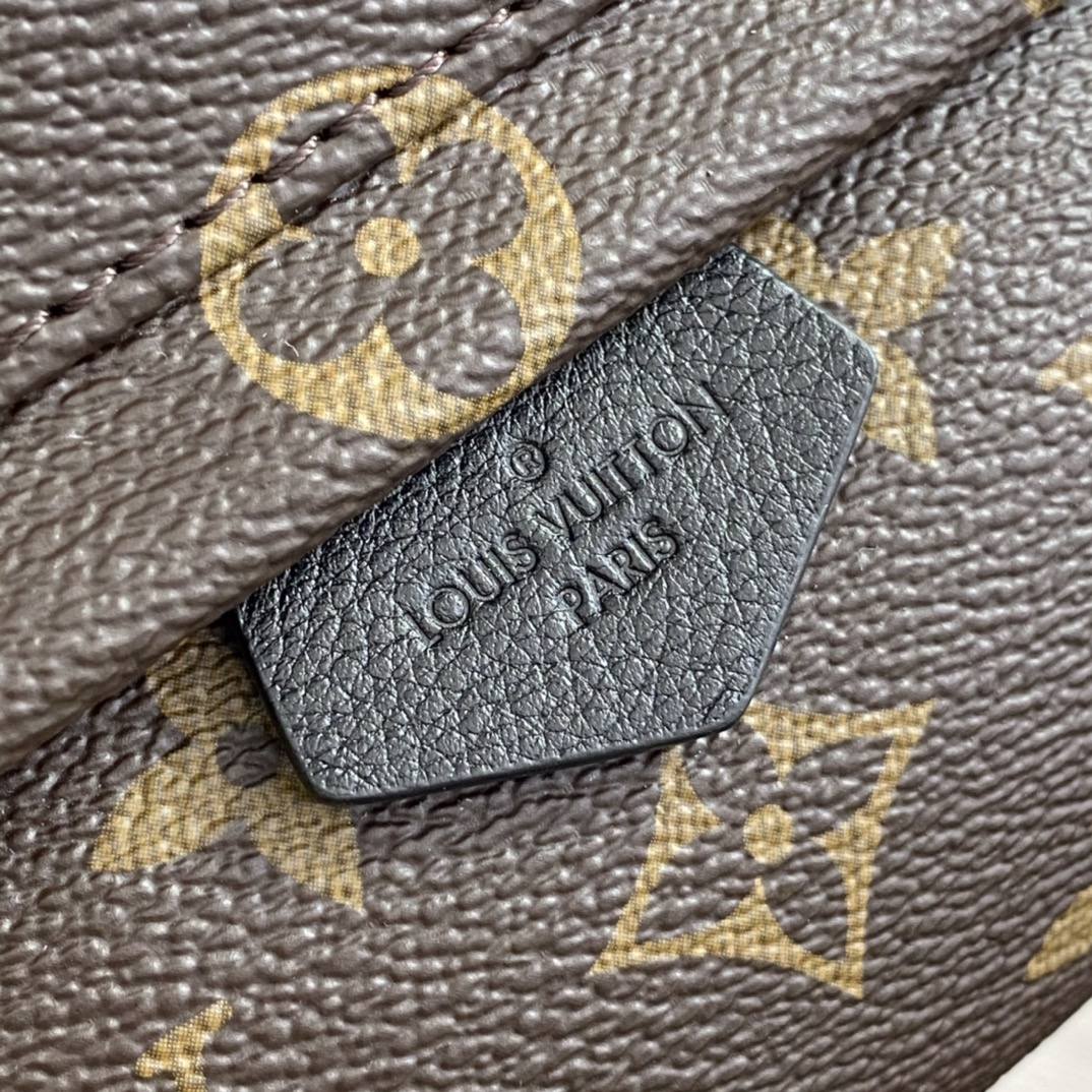 Ellebag’s 1:1 Replica of Louis Vuitton M44873 Small Backpack: Crafting Luxury with Precision (2024 Nov Updated)-Best Quality Fake Louis Vuitton Bag Online Store, Replica designer bag ru