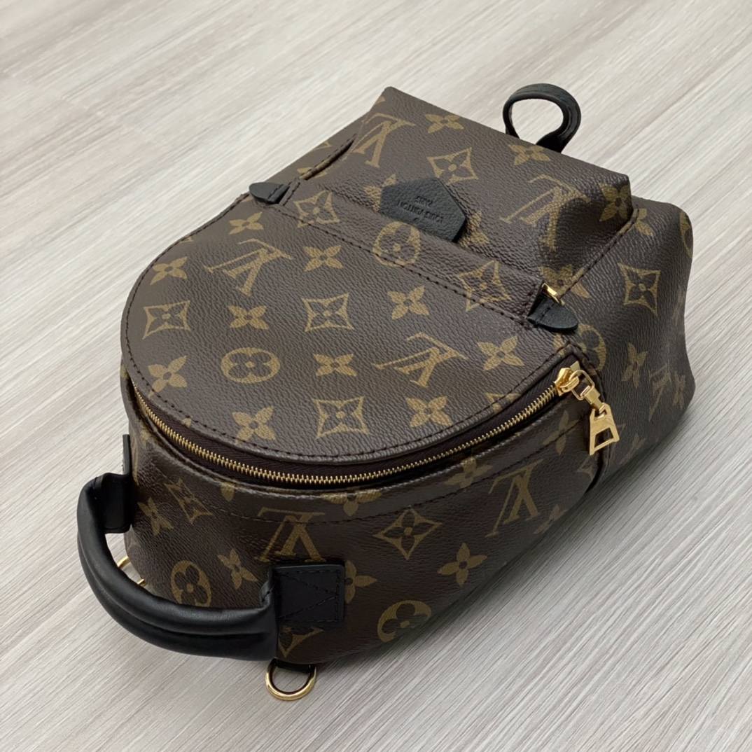 Ellebag’s 1:1 Replica of Louis Vuitton M44873 Small Backpack: Crafting Luxury with Precision (2024 Nov Updated)-Best Quality Fake Louis Vuitton Bag Online Store, Replica designer bag ru