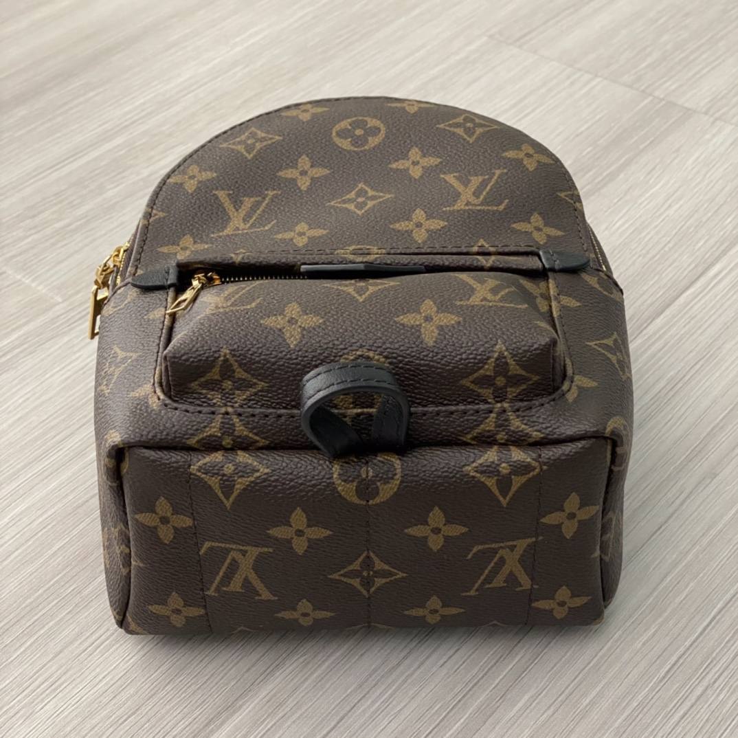 Ellebag’s 1:1 Replica of Louis Vuitton M44873 Small Backpack: Crafting Luxury with Precision (2024 Nov Updated)-Best Quality Fake Louis Vuitton Bag Online Store, Replica designer bag ru