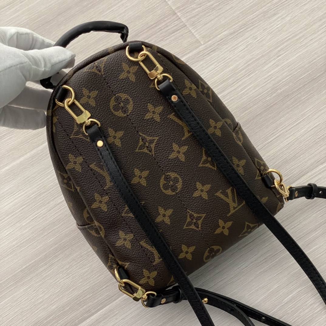 Ellebag’s 1:1 Replica of Louis Vuitton M44873 Small Backpack: Crafting Luxury with Precision (2024 Nov Updated)-Best Quality Fake Louis Vuitton Bag Online Store, Replica designer bag ru