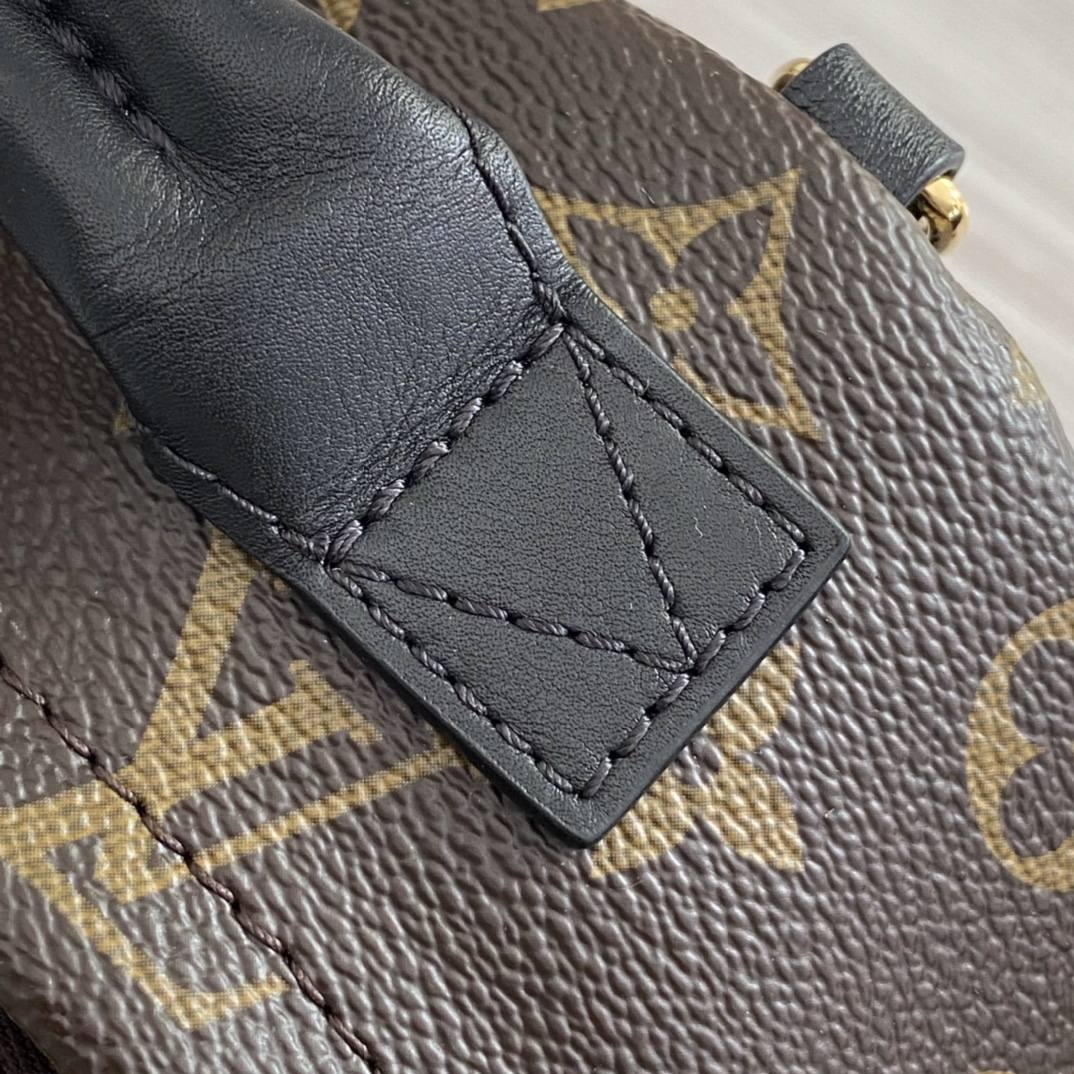 Ellebag’s 1:1 Replica of Louis Vuitton M44873 Small Backpack: Crafting Luxury with Precision (2024 Nov Updated)-Best Quality Fake Louis Vuitton Bag Online Store, Replica designer bag ru