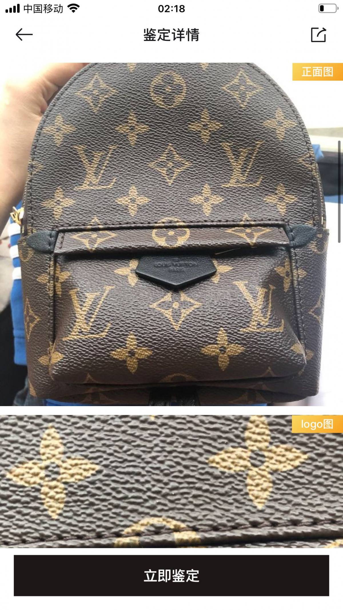 Ellebag’s 1:1 Replica of Louis Vuitton M44873 Small Backpack: Crafting Luxury with Precision (2024 Nov Updated)-Best Quality Fake Louis Vuitton Bag Online Store, Replica designer bag ru