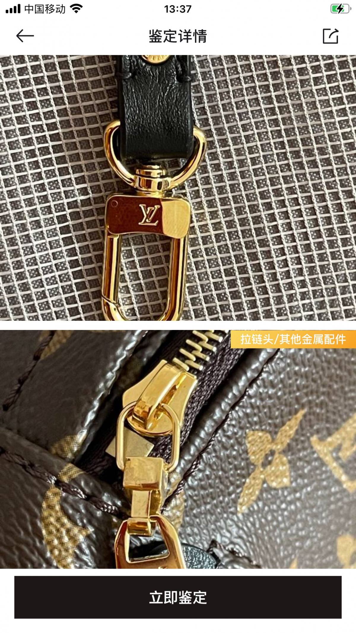 Ellebag’s 1:1 Replica of Louis Vuitton M44873 Small Backpack: Crafting Luxury with Precision (2024 Nov Updated)-Best Quality Fake Louis Vuitton Bag Online Store, Replica designer bag ru