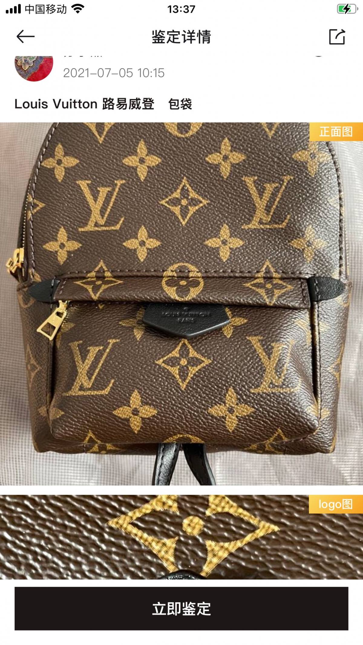 Ellebag’s 1:1 Replica of Louis Vuitton M44873 Small Backpack: Crafting Luxury with Precision (2024 Nov Updated)-Best Quality Fake Louis Vuitton Bag Online Store, Replica designer bag ru