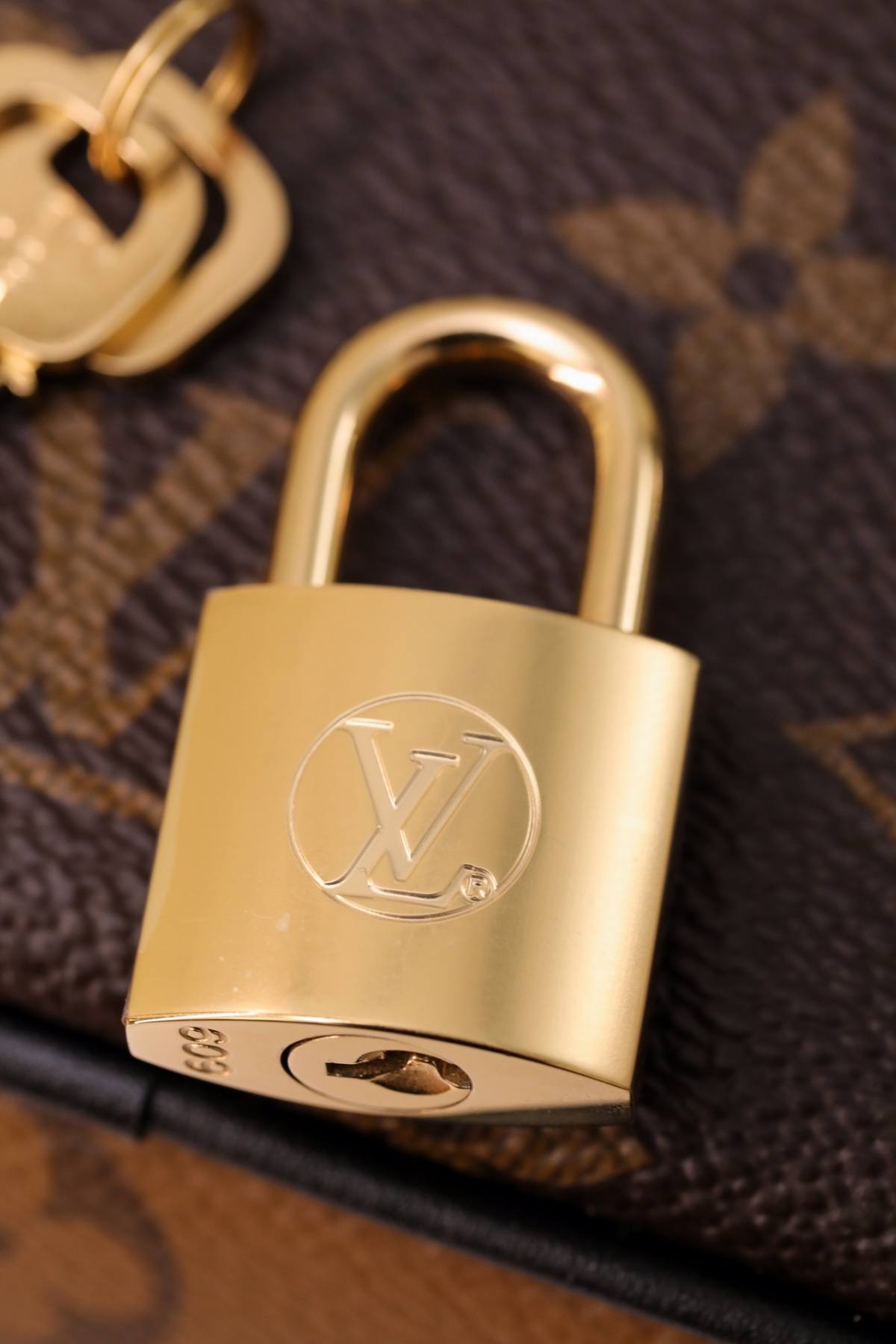 Ellebag’s 1:1 Replica of Louis Vuitton M45165 Vanity Small Handbag Crossbody: The Ultimate in Craftsmanship(2024 Dec Updated)-Meilleure qualité de faux sac Louis Vuitton en ligne, réplique de sac de créateur ru