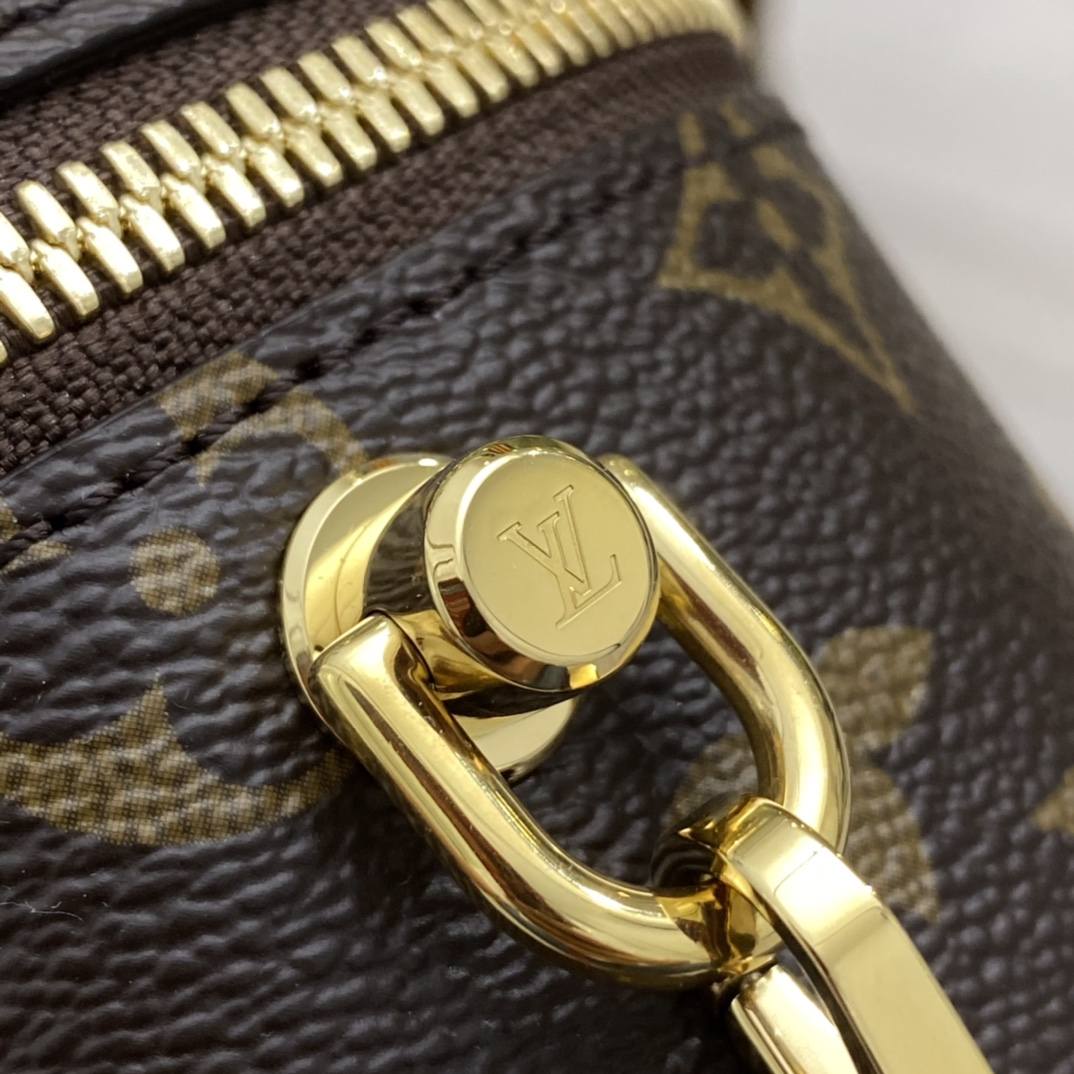 Ellebag’s 1:1 Replica of Louis Vuitton M45165 Vanity Small Handbag Crossbody: The Ultimate in Craftsmanship(2024 Dec Updated)-Meilleure qualité de faux sac Louis Vuitton en ligne, réplique de sac de créateur ru