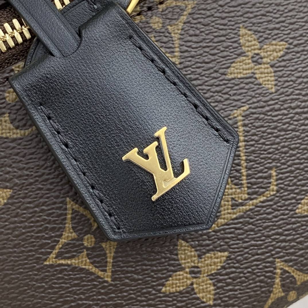 Ellebag’s 1:1 Replica of Louis Vuitton M45165 Vanity Small Handbag Crossbody: The Ultimate in Craftsmanship(2024 Dec Updated)-Meilleure qualité de faux sac Louis Vuitton en ligne, réplique de sac de créateur ru