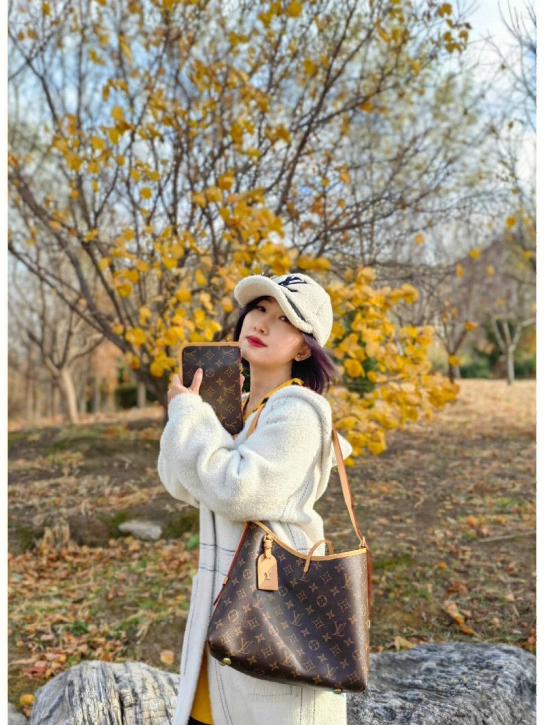 Ellebag’s 1:1 Replica of Louis Vuitton M46203 Carryall Small Handbag(2024 Dec Updated)-Best Quality Fake Louis Vuitton Bag Online Store, Replica designer bag ru