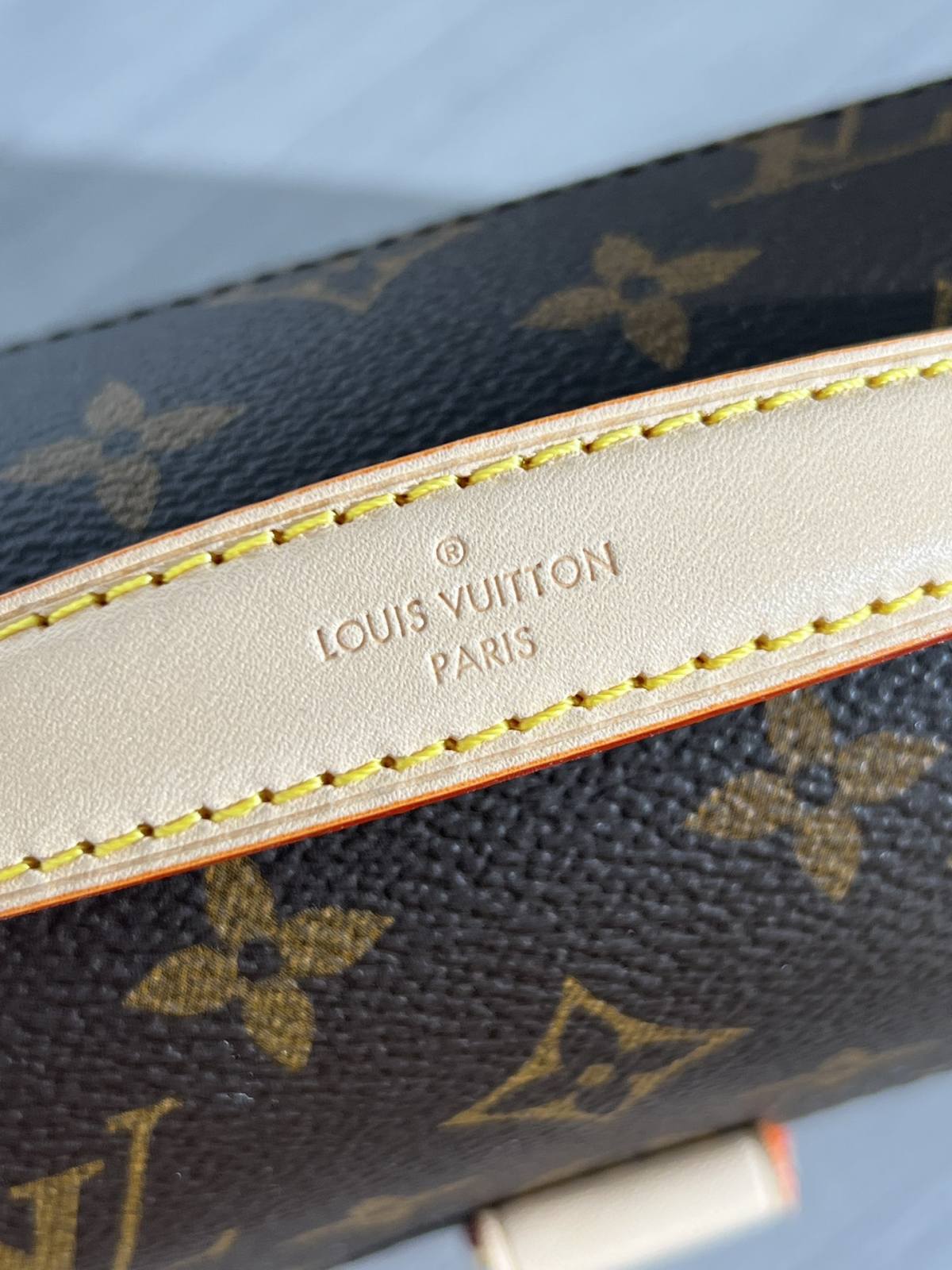 Ellebag’s 1:1 Replica of Louis Vuitton M46279 Pochette Métis East West Handbag(2024 Dec Updated)-Best Quality Fake Louis Vuitton Bag Online Store, Replica designer bag ru