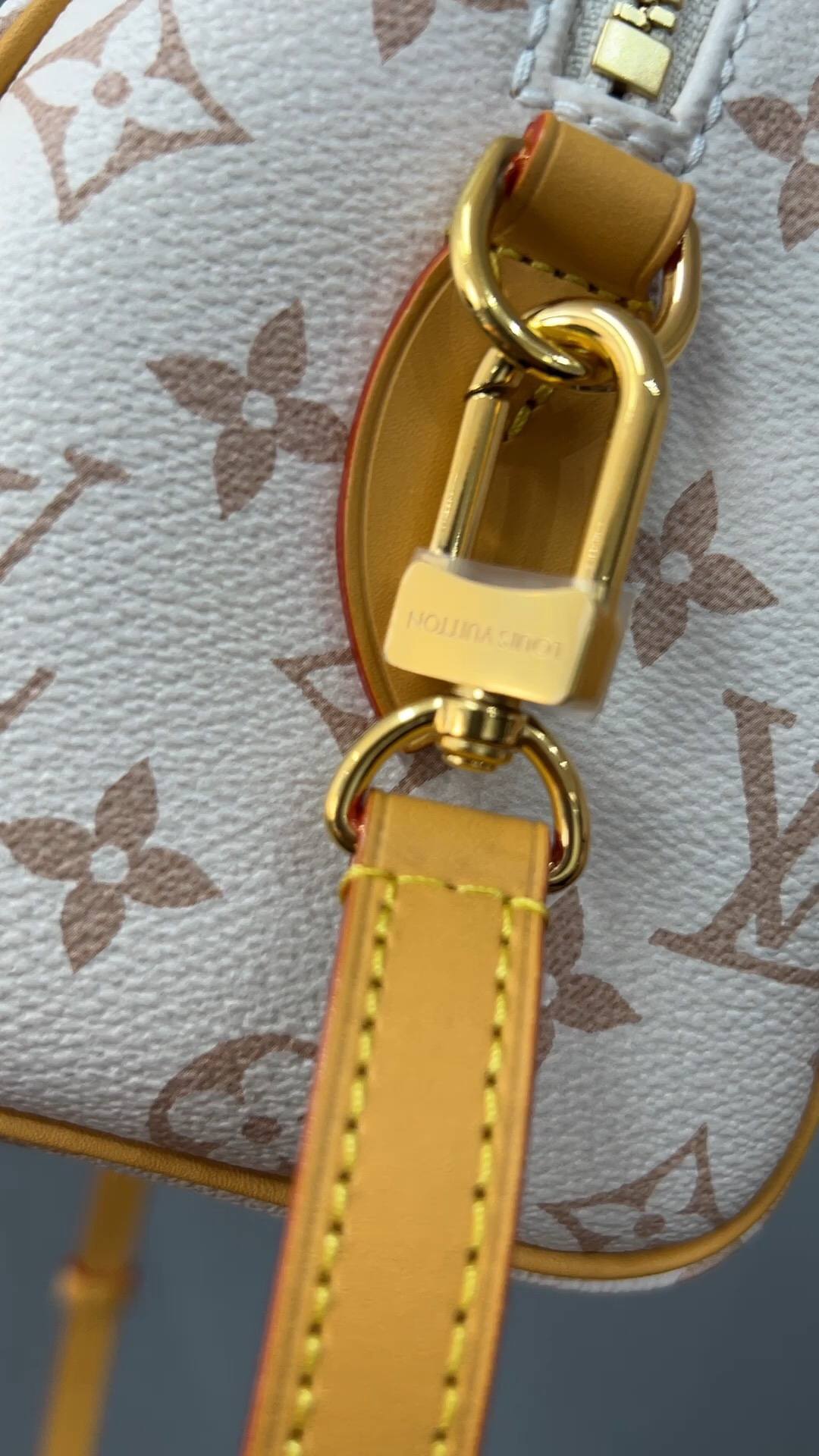 Ellebag’s 1:1 Replica of Louis Vuitton M46906 Speedy Bandoulière 20: A Masterful Recreation of Iconic Craftsmanship(2024 Dec Updated)-Molemo ka ho Fetisisa Lebenkele la Lebenkele la Marang-rang la Fake Louis Vuitton, Replica designer bag ru