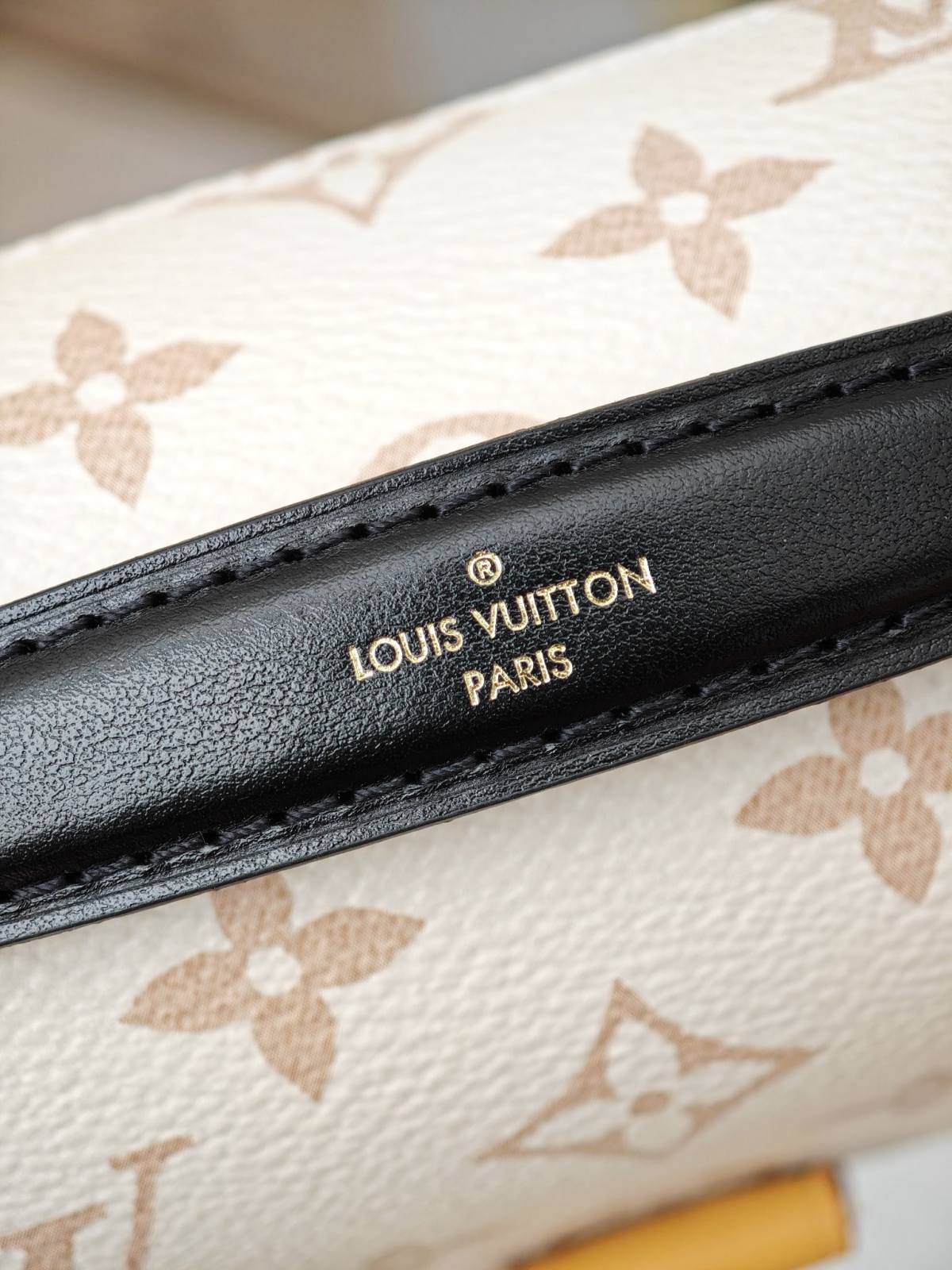 Ellebag’s 1:1 Replica of Louis Vuitton M46914 Pochette Métis East West: A Perfect Balance of Craftsmanship and Luxury (2024 Dec updated)-Molemo ka ho Fetisisa Lebenkele la Lebenkele la Marang-rang la Fake Louis Vuitton, Replica designer bag ru