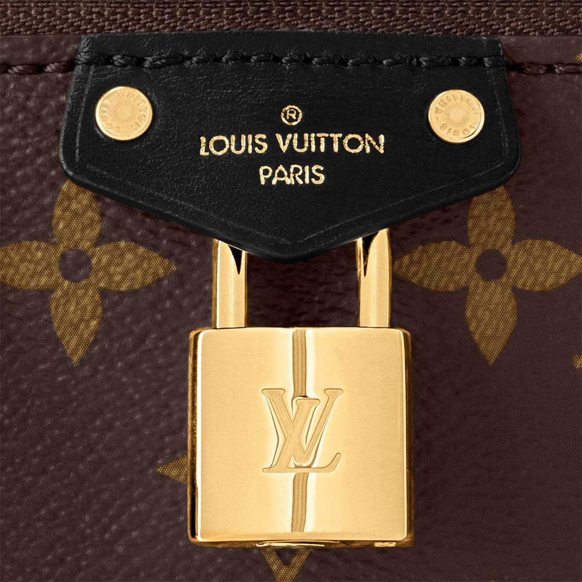 Ellebag’s 1:1 Replica of Louis Vuitton M47125 Vanity Chain Pouch: A Tribute to Iconic Craftsmanship (2024 Dec updated)-Best Quality Fake Louis Vuitton Bag Online Store, Replica designer bag ru