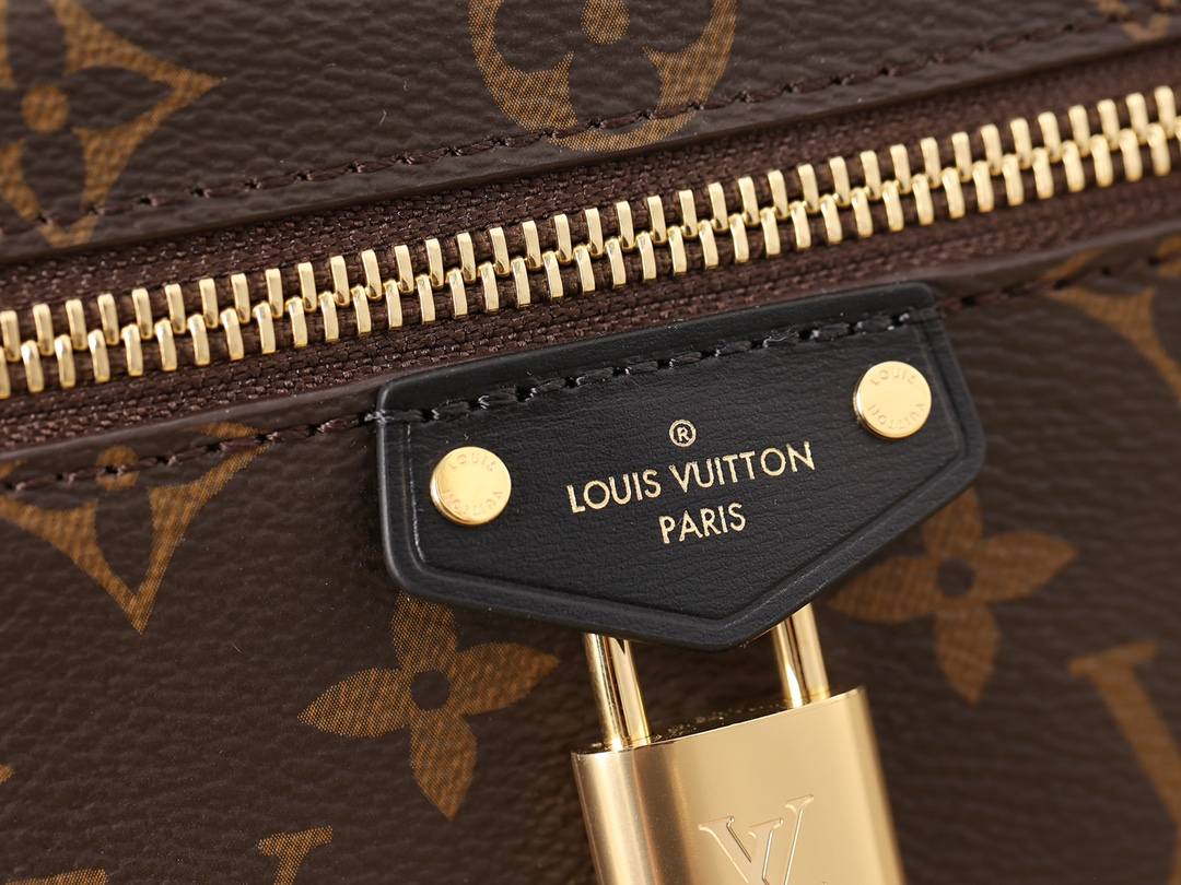 Ellebag’s 1:1 Replica of Louis Vuitton M47125 Vanity Chain Pouch: A Tribute to Iconic Craftsmanship (2024 Dec updated)-Best Quality Fake Louis Vuitton Bag Online Store, Replica designer bag ru