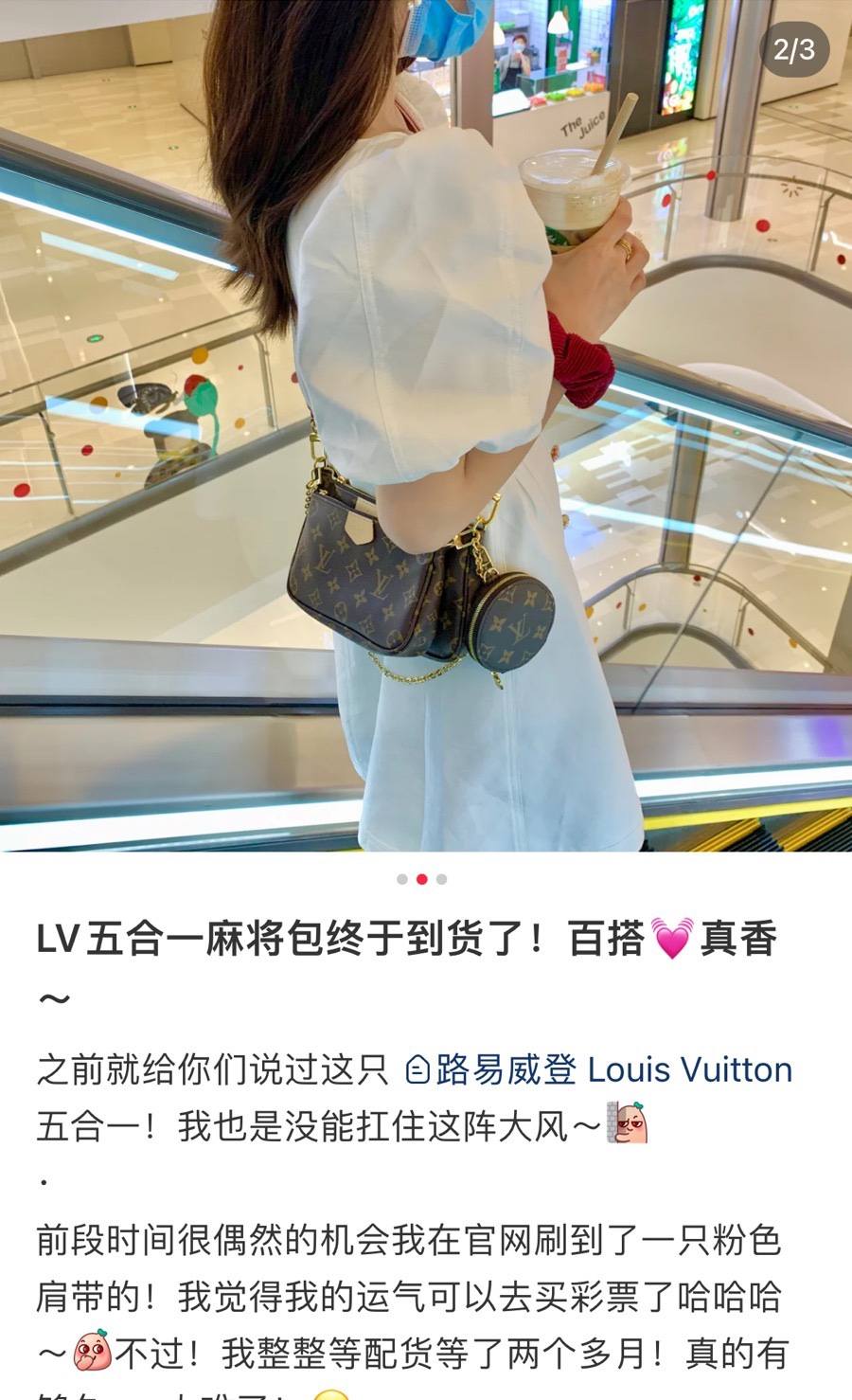 Ellebag’s Perfect 1:1 Replica of the Louis Vuitton M44840 Multi Pochette Accessories Bag(2024 Dec Updated)-Best Quality Fake Louis Vuitton Bag Online Store, Replica designer bag ru