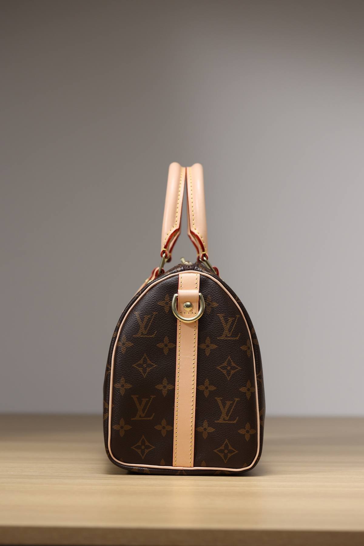 Ellebag’s 1:1 Replica of Louis Vuitton M41113 Speedy 25 Handbag with Shoulder Strap – Perfect Craftsmanship and Timeless Style(2024 Dec Updated)-ఉత్తమ నాణ్యత నకిలీ లూయిస్ విట్టన్ బ్యాగ్ ఆన్‌లైన్ స్టోర్, రెప్లికా డిజైనర్ బ్యాగ్ రు