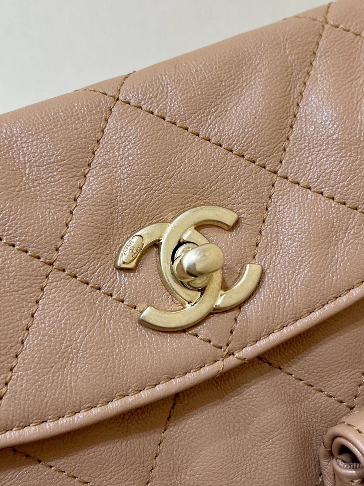 Ellebag’s Exquisite Replica of the Chanel 24P Hobo Bag: A 24cm Masterpiece with Pearl Chain and Champagne Gold Hardware(2024 Dec Updated)-Best Quality Fake Louis Vuitton Bag Online Store, Replica designer bag ru