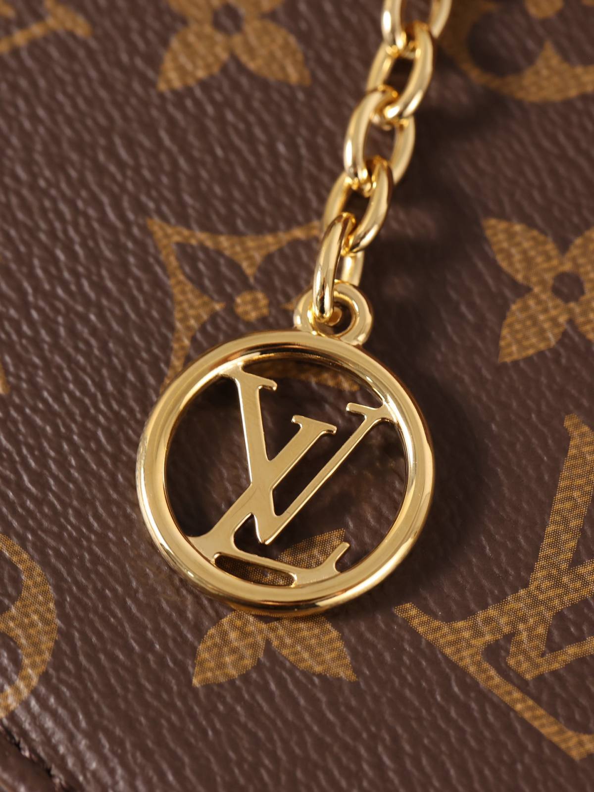 Ellebag’s 1:1 Replica of Louis Vuitton M82509 Wallet On Chain Lily: Craftsmanship and Timeless Elegance(2024 Dec Updated)-ʻOi aku ka maikaʻi o ka ʻeke Louis Vuitton ʻeke hoʻopunipuni ma ka hale kūʻai pūnaewele, ʻeke hoʻolālā kope ru