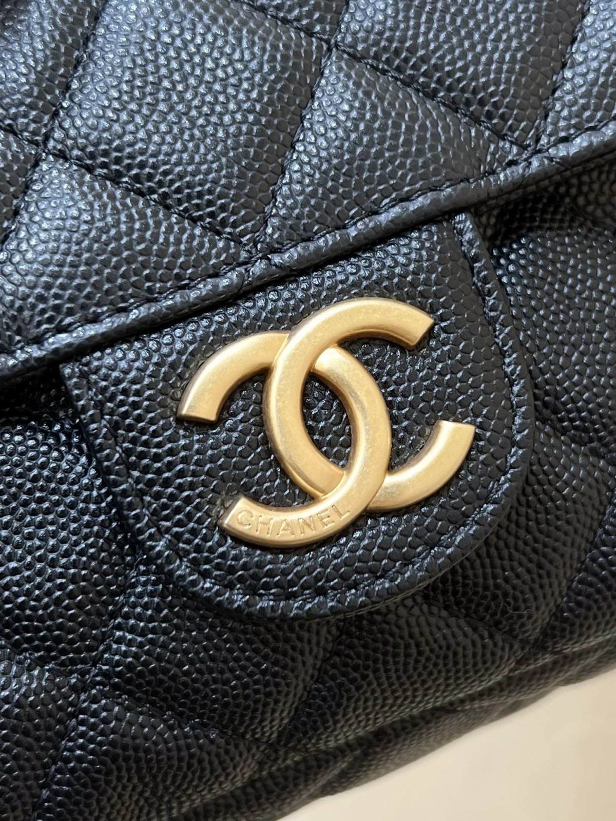 Ellebag’s Exquisite Replica: The Black Caviar Leather Chanel Small Hobo Bag with Gold Hardware(2024 Dec Updated)-Best Quality Replica designer Bag factory in China