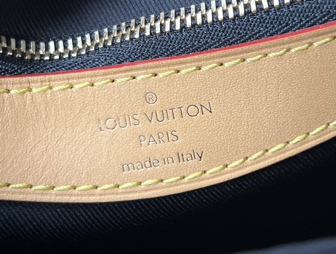 Ellebag’s 1:1 Replica of the Louis Vuitton M45985 Diane Bag: A Tribute to Timeless Craftsmanship(2024 Dec Updated)-Dyqani në internet i çantave të rreme Louis Vuitton me cilësi më të mirë, çanta modeli kopje ru