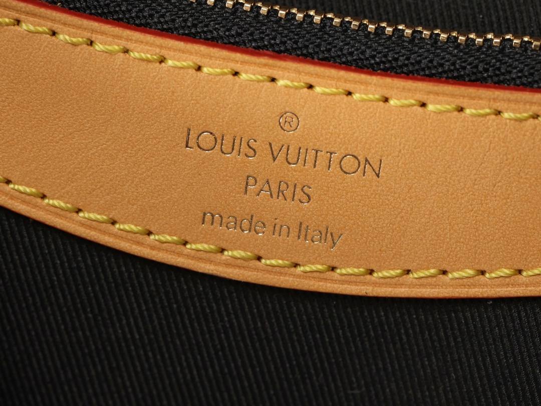 Ellebag’s 1:1 Replica of the Louis Vuitton M45985 Diane Bag: A Tribute to Timeless Craftsmanship(2024 Dec Updated)-Dyqani në internet i çantave të rreme Louis Vuitton me cilësi më të mirë, çanta modeli kopje ru