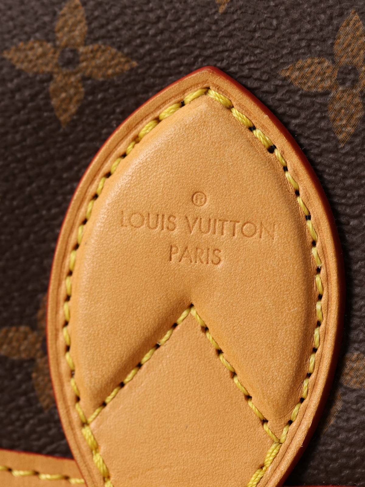 Ellebag’s 1:1 Replica of the Louis Vuitton M45985 Diane Bag: A Tribute to Timeless Craftsmanship(2024 Dec Updated)-Dyqani në internet i çantave të rreme Louis Vuitton me cilësi më të mirë, çanta modeli kopje ru