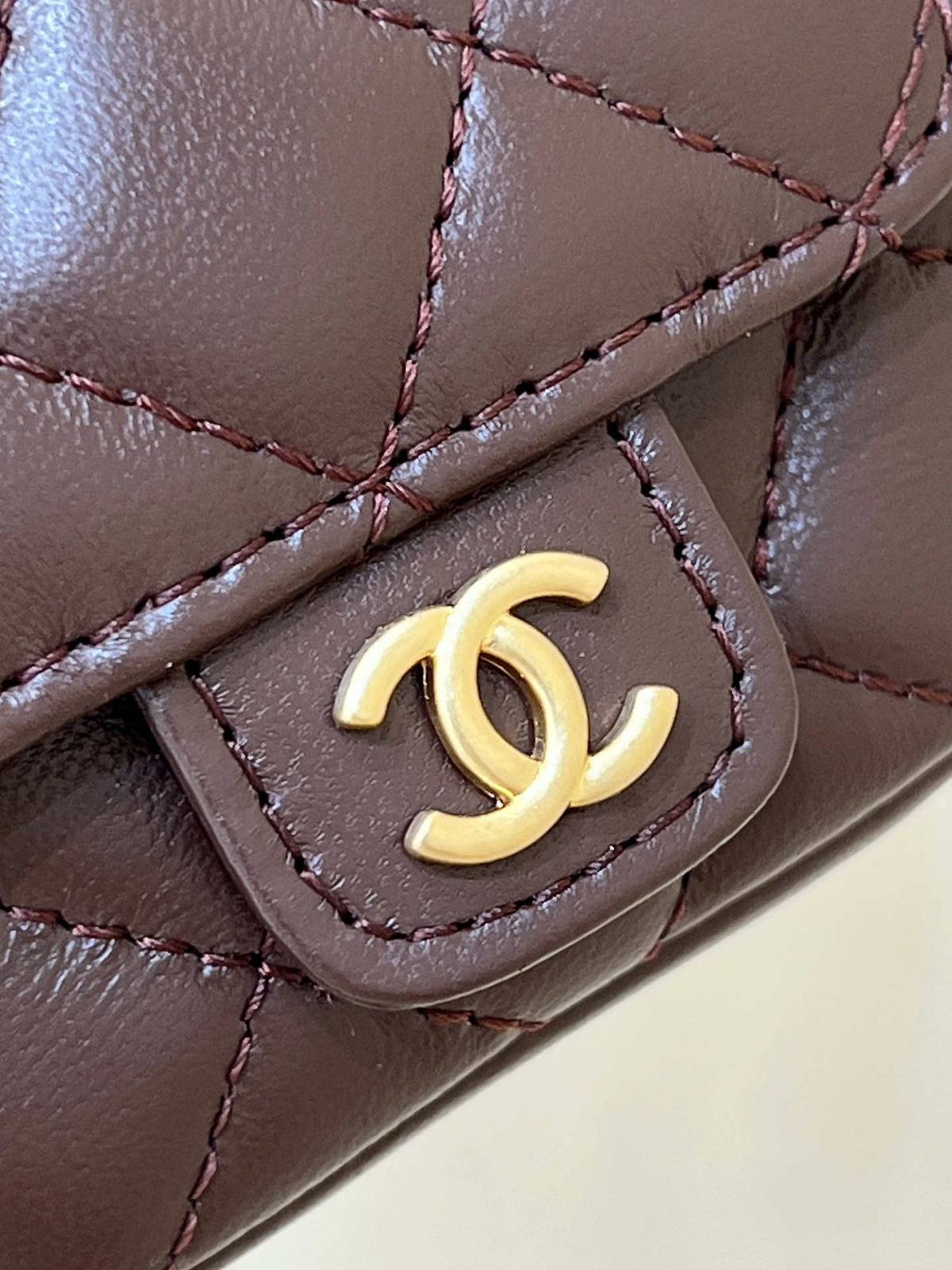 Ellebag’s Exquisite Replica: The Brown Lambskin Chanel Small Backpack with Vintage Hardware(2024 Dec Updated)-Ti o dara ju Didara iro Louis Vuitton apo Online itaja, Ajọra onise apo ru