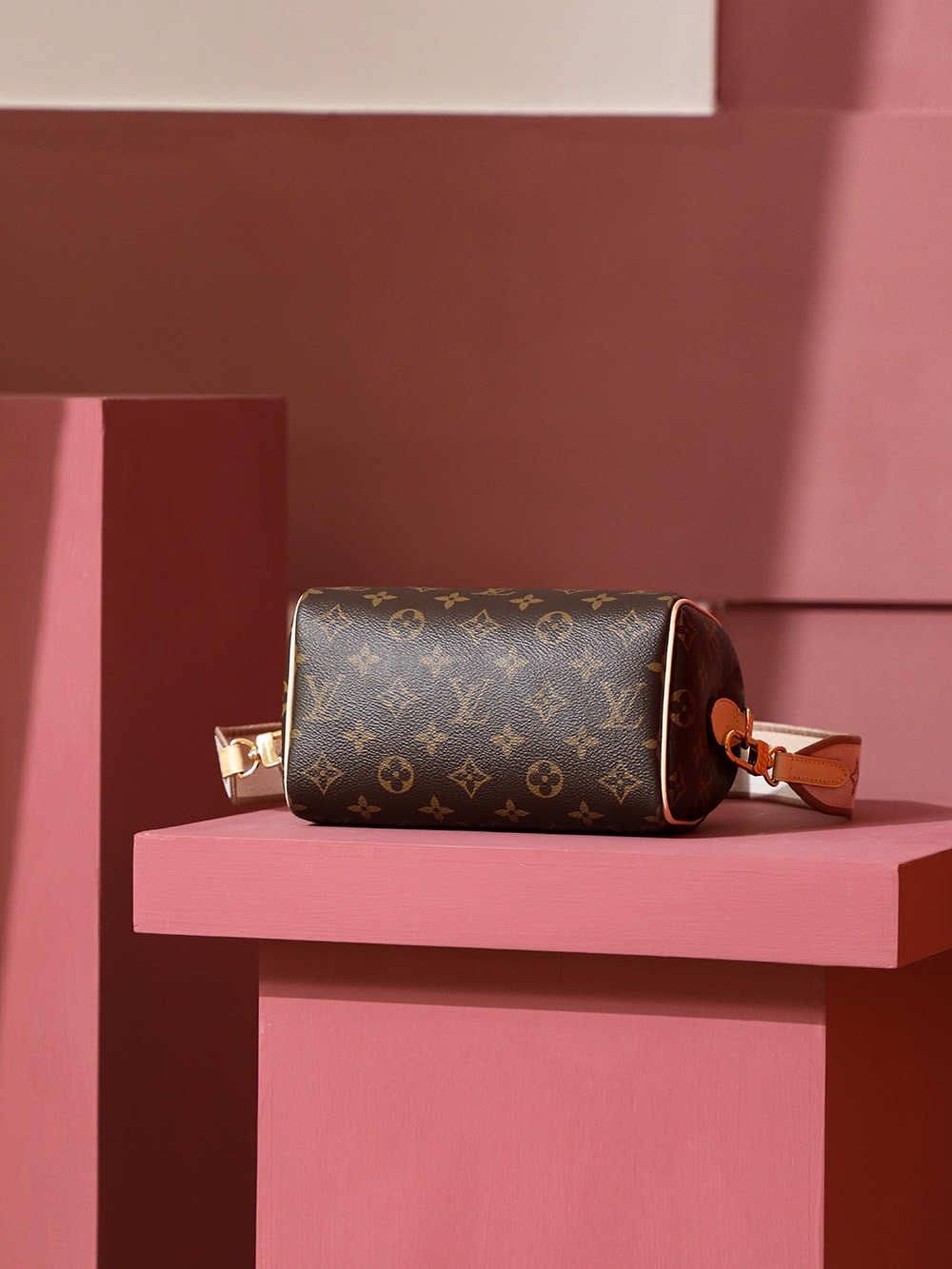 “Ellebag’s 1:1 Replica of Louis Vuitton Speedy 20 M46222: A New Icon in Luxury”(2025 Jan Updated)-Best Quality Fake Louis Vuitton Bag Online Store, Replica designer bag ru