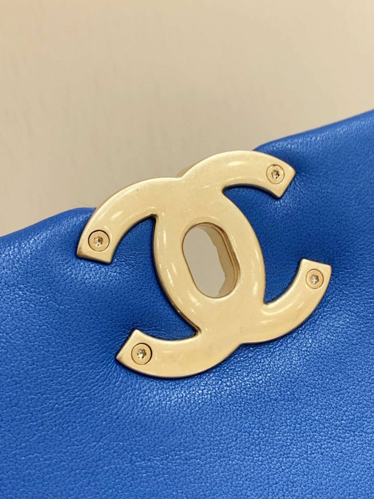 Ellebag’s Meticulous Recreation of the Chanel 19 Bag AS1160: A Spectrum of Elegance in Six Distinct Hues(2025 Feb Updated)-Best Quality Fake Louis Vuitton Bag Online Store, Replica designer bag ru