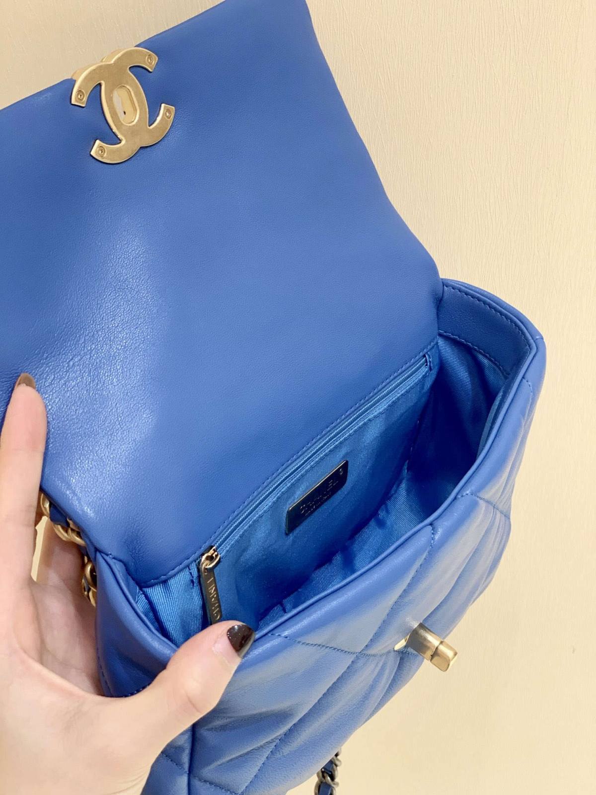 Ellebag’s Meticulous Recreation of the Chanel 19 Bag AS1160: A Spectrum of Elegance in Six Distinct Hues(2025 Feb Updated)-Best Quality Fake Louis Vuitton Bag Online Store, Replica designer bag ru