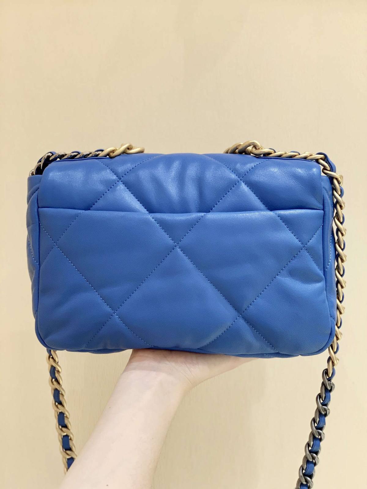 Ellebag’s Meticulous Recreation of the Chanel 19 Bag AS1160: A Spectrum of Elegance in Six Distinct Hues(2025 Feb Updated)-Best Quality Fake Louis Vuitton Bag Online Store, Replica designer bag ru