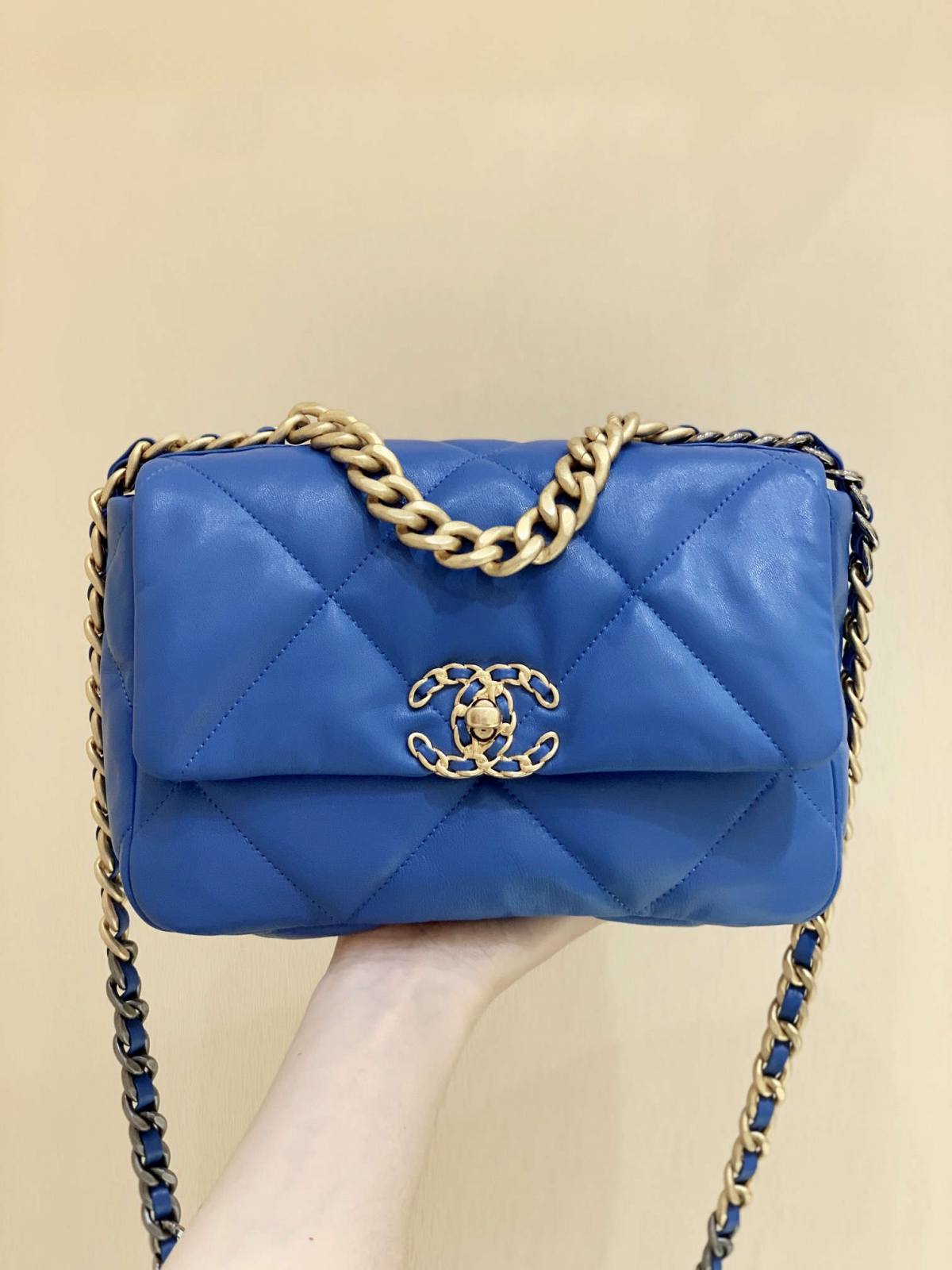 Ellebag’s Meticulous Recreation of the Chanel 19 Bag AS1160: A Spectrum of Elegance in Six Distinct Hues(2025 Feb Updated)-Best Quality Fake Louis Vuitton Bag Online Store, Replica designer bag ru