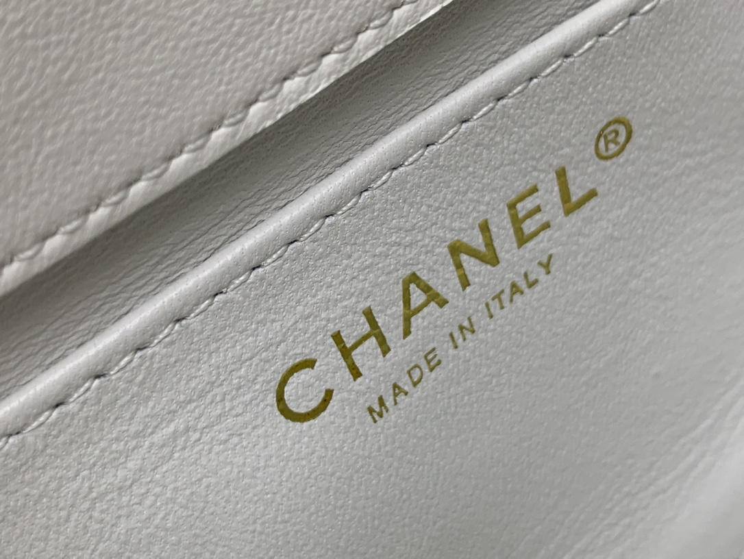 Ellebag’s 1:1 Replica of the Chanel 24S Transparent Handle Bags: A Fusion of Luxury and Innovation(2025 June Updated)-Best Quality Fake Louis Vuitton Bag Online Store, Replica designer bag ru