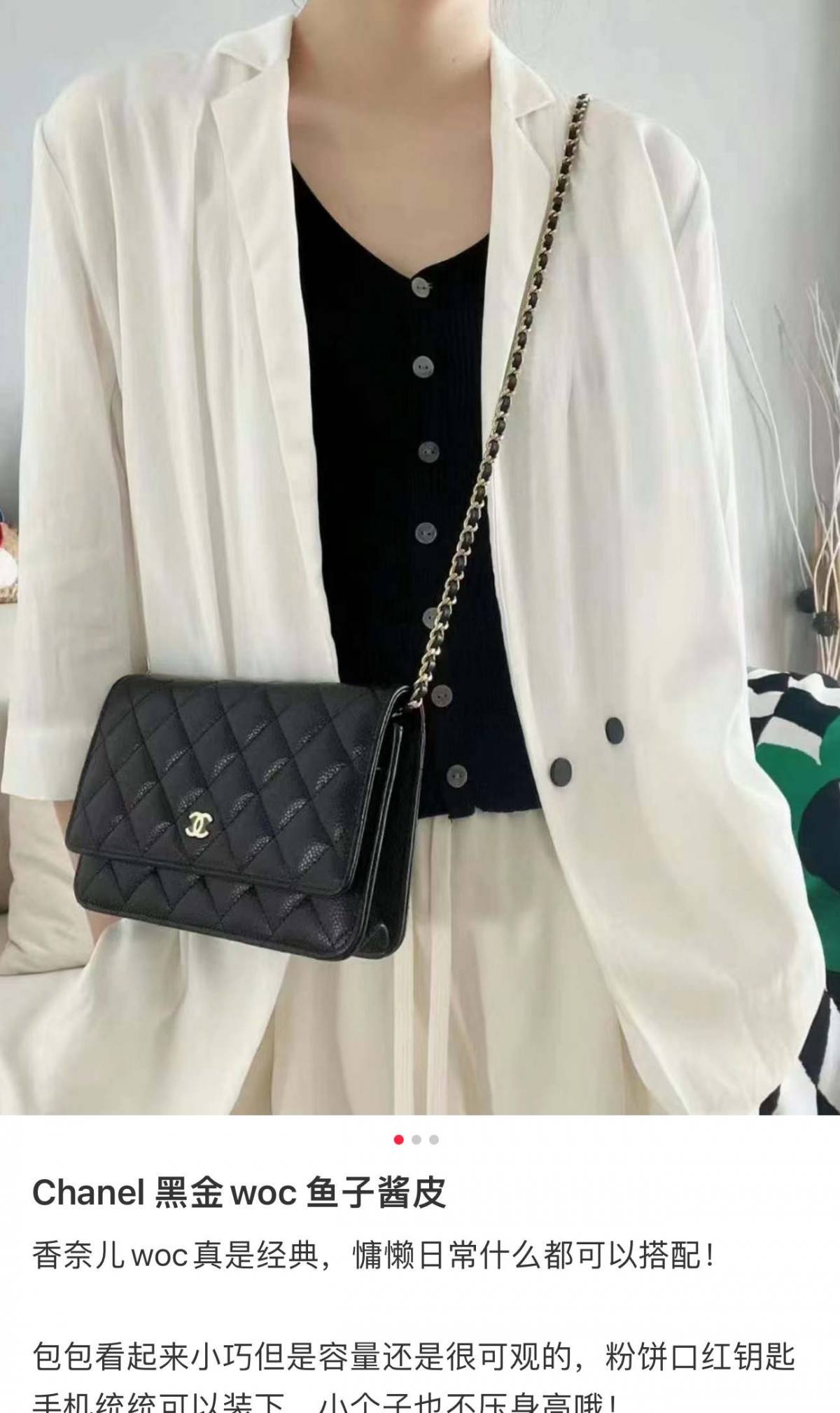 Ellebag’s 1:1 Replication of the Chanel WOC with Magnetic Closure: An Affordable Luxury(2025 July Updated)-Bedste kvalitet Fake Louis Vuitton Bag Online Store, Replica designer bag ru