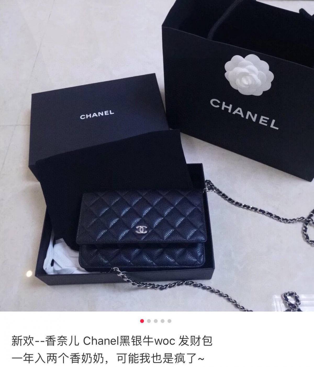 Ellebag’s 1:1 Replication of the Chanel WOC with Magnetic Closure: An Affordable Luxury(2025 July Updated)-Bedste kvalitet Fake Louis Vuitton Bag Online Store, Replica designer bag ru